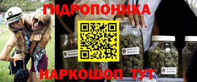 прущая мука Будённовск