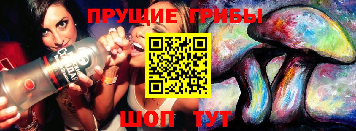 Псилоцибиновые грибы Psilocybine cubensis Белореченск